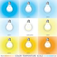 Light temperature scale vector