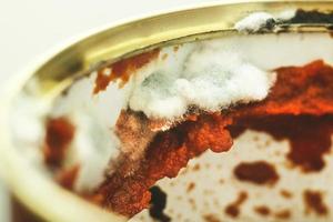 Close up image of an open can with moldy tomato photo