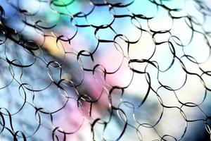Abstract net background photo