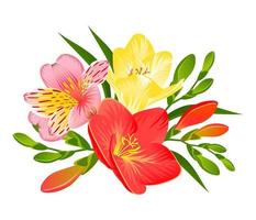 A TROPICAL COMPOSITION WITH THE FLOWERS OF FREESIA AND ALSTROMERIA vector