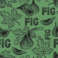 PATTERN WITH FIGS AND LEAVES vector