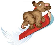 Vector image of a bear riding on a Board