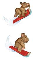 Vector image of a bear riding on a Board