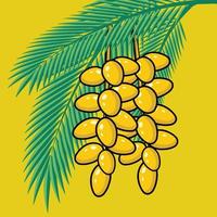 Fresh Dates on palm tree tropical fruits and palm leaves vector illustration