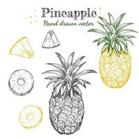 Line art pineapple fruits hand drawn illustrations vector