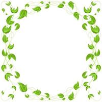 circle of green leaves on a branch  border  isolated on white background vector