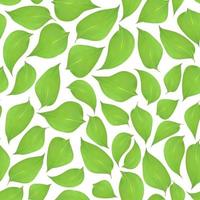 Seamless green leaves background on a white background vector