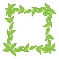 Deciduous frame with stems and green leaves isolated on white background vector