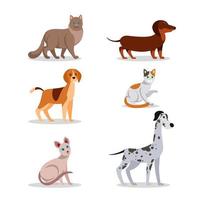 Conjunto de diseño de personajes de perros y gatos. vector