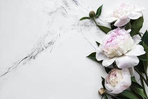 flores de peonía sobre un fondo de mármol foto