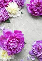 Peony flowers on a grey concrete background photo