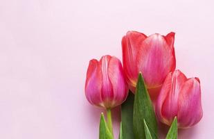 Beautiful tulips bouquet photo