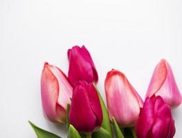 Beautiful tulips bouquet photo