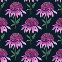 Hand drawn botanical seamless floral pattern with coneflower stamp vector