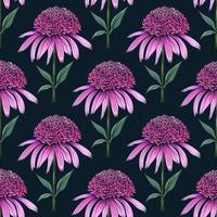 Hand drawn botanical seamless floral pattern with coneflower stamp vector