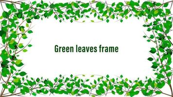 Tree branches with green leaves border frame vector