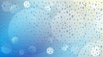 Water drops realistic background vector