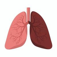 vector de pulmones con comparación de pulmón