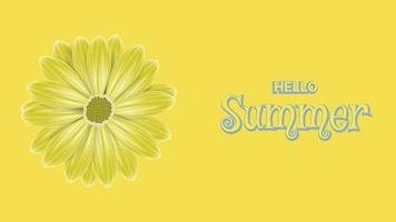 3d vector hello summer background