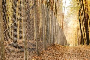 valla metálica al aire libre en otoño foto