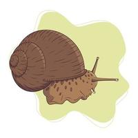 Hand Drawn Garden Snail on Green Abstract Background Vector Illustration in Vintage Style