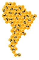 South America in the form of honeycombs vector