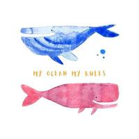 Pink and blue whales watercolor illustration of sea creature animals vector