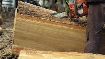 An arborist cutting the log with a chainsaw, with audio video