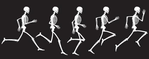 White Color Silhouette View Of the Running Cycle Of Human Skeleton Vector Drawing