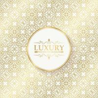 Luxury ornament pattern design background vector