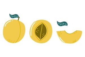 Set of hand drawn peach Fruit vegan concept Flat illustration vector