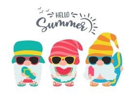 Gnomes Summer Gnomes wear hats and sunglasses for summer trips to the beach vector