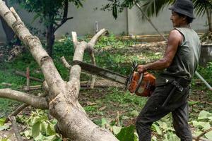 Portrait of arborist cutting the log by chainsaw machine with sawdust splashing around. Motion blurred of sawing chainsaw photo