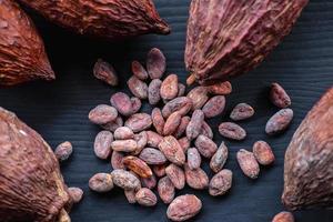 granos de cacao y cacao seco foto