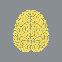 Icon left and right hemisphere of human brain vector