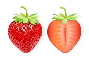 Slice of strawberry sweet fruit illustration for web isolated on white background vector