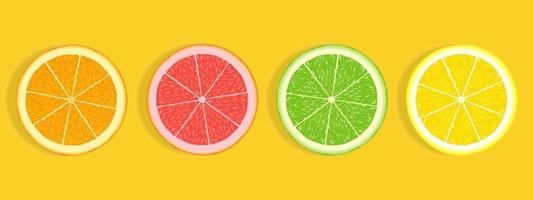 Rodajas de cítricos de pomelo naranja lima y limón aislado sobre fondo blanco. vector