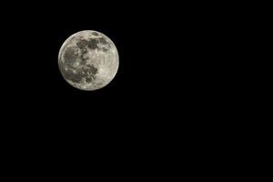 Full moon on night sky photo