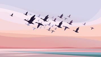 Migratory birds at sunset