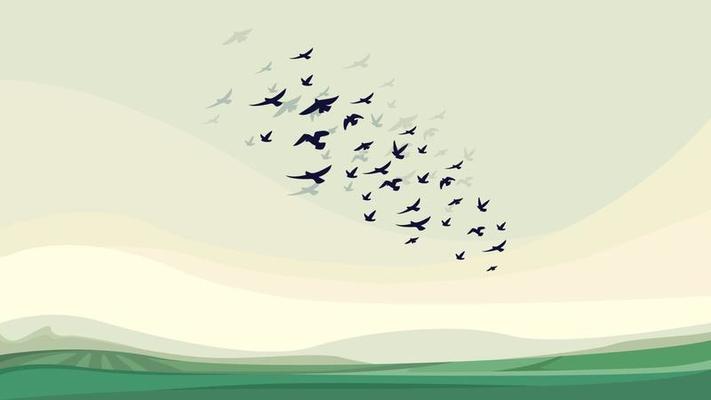 Flock of flying birds