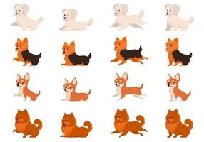 Bichon Bolognese Yorkshire Terrier Chihuahua and Spitz in different poses vector