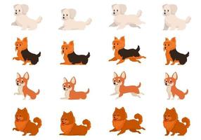 Bichon boloñesa yorkshire terrier chihuahua y spitz en diferentes poses vector