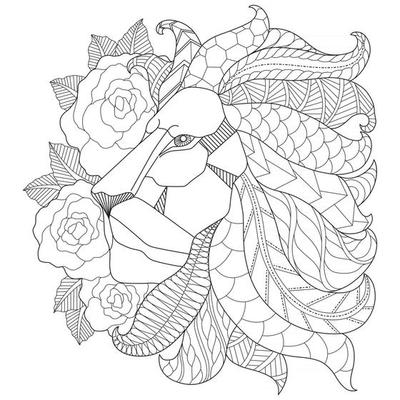 Lion and Rose Hand drawn sketch for adult colouring book