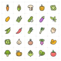 Vegetable Line with Color icon vector