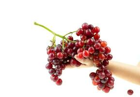 Racimo de uva roja madura en la mano de una dama sobre un fondo blanco.