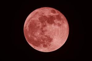 luna de sangre en la noche oscura foto