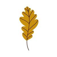 Oak leaf. vector illustration