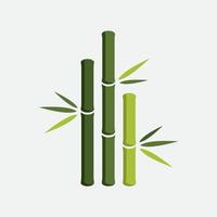 Bamboo vector illustration Design