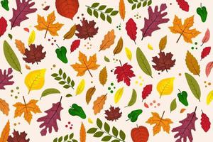 Autumn leaves set vector