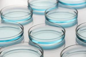 Petri dishes in medical lab with dropper photo